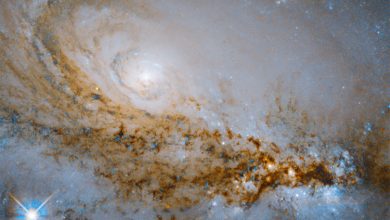 Фото - Фото дня: великолепная спиральная галактика переходного типа