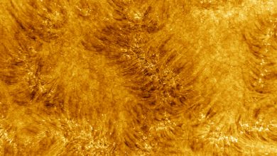 Фото - Опубликованы самые детализированные снимки Солнца