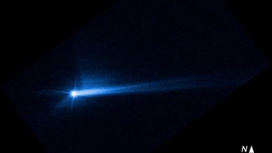 Фото - NASA подтвердило, что удар зонда DART изменил орбиту астероида Диморф